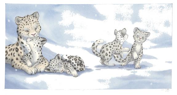 Julie Mellan - Wild Animal Babies, Illustration originale 