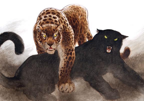 Frank Pé - Jaguars
Illustration originale réalisée pour le c
