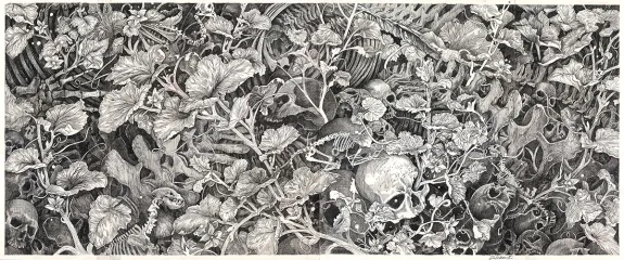 Black and white illustration, La Tête de mort venue de Suède, Daria Schmitt