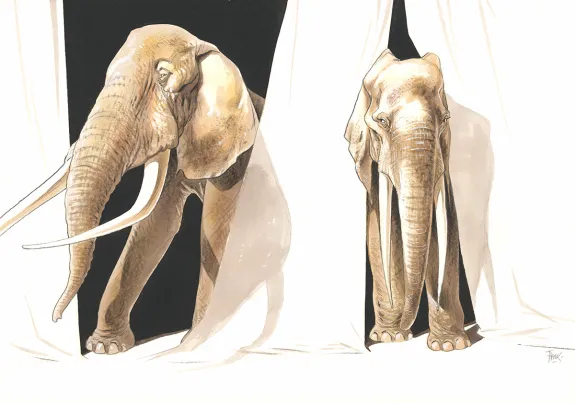 Illustration couleur, Frank Pé