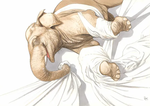 Illustration couleur, Frank Pé
