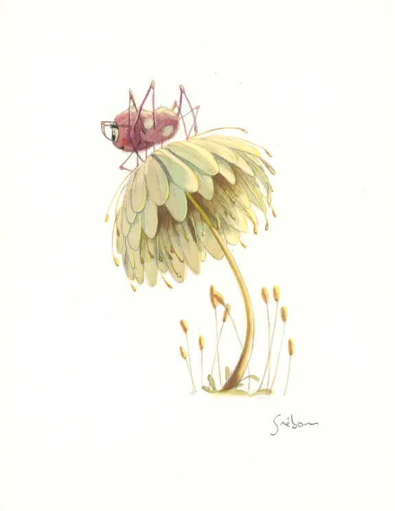 Colored illustration, À la découverte des humains, Quentin Gréban