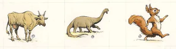 Illustration couleur, Michel Blanc-Dumont