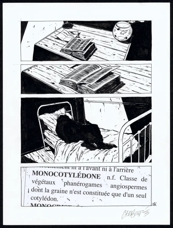 Planche noir et blanc, Tout seul, Christophe Chabouté