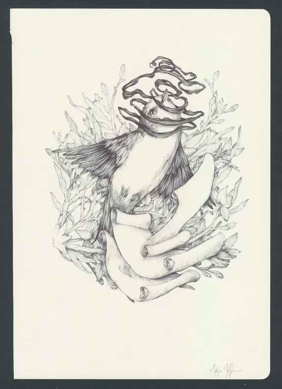 Colored illustration, Marco Mazzoni