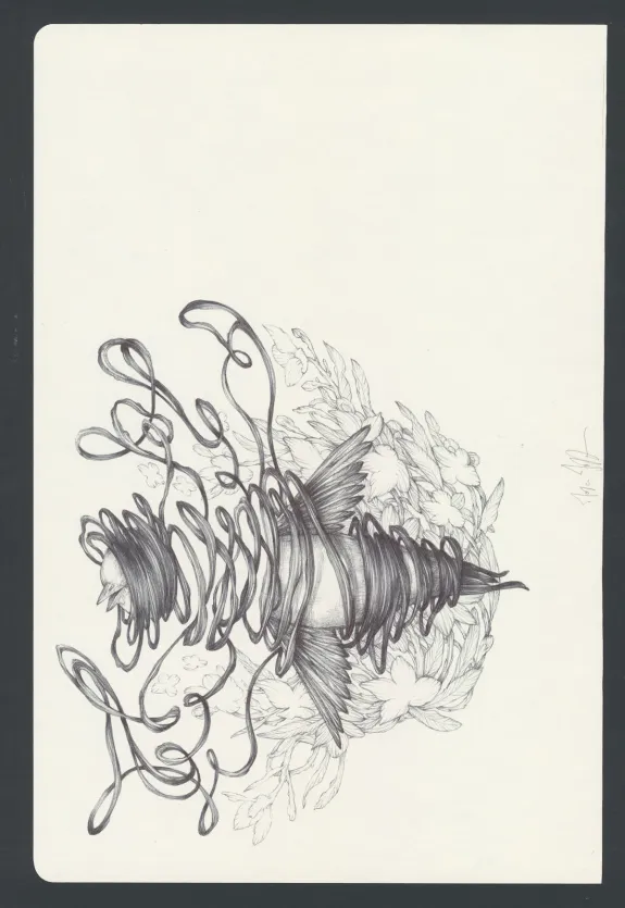 Illustration couleur, Marco Mazzoni
