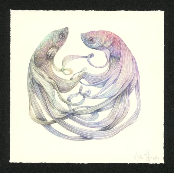 Colored illustration, Journaux troublés, Marco Mazzoni