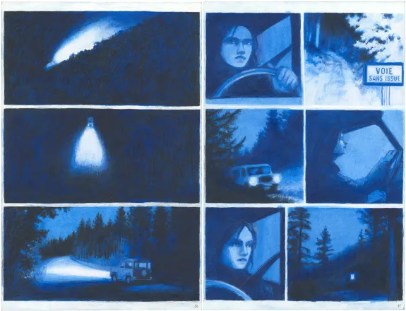 Planche couleur, Les Grands Cerfs, Gaétan Nocq