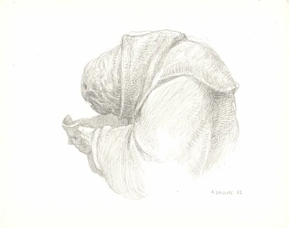 Illustration noir et blanc, Les Carnets Lovecraft, Le Festival , Armel Gaulme