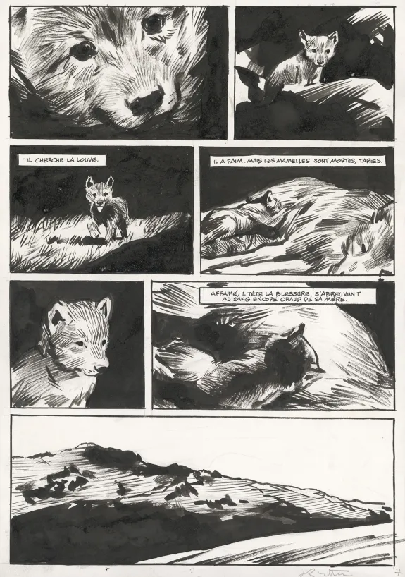 Planche noir et blanc, Le Loup, Jean-Marc Rochette