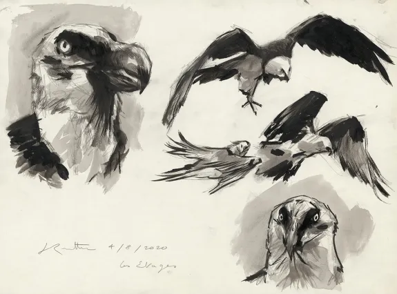 Illustration noir et blanc, Bestiaire des Alpes, Jean-Marc Rochette
