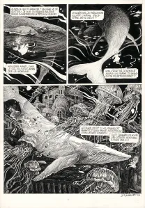 Planche noir et blanc, La Tête de mort venue de Suède, Daria Schmitt