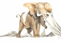 Illustration couleur, Frank Pé