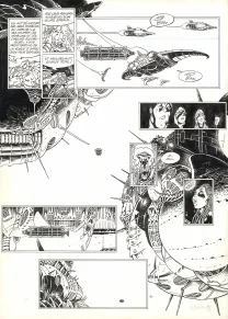 Planche noir et blanc, Kookaburra,  Crisse