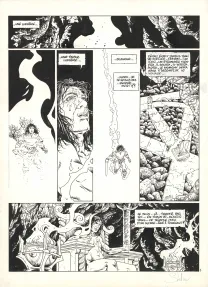 Planche noir et blanc, Malheig, L'œil de Wedal (T.3), Eric Stalner