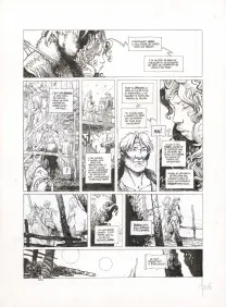 Black and white original page, La Quête de l'Oiseau du Temps, Le Chevalier Bragon (T.4), Vincent Mallié