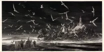 Black and white illustration, Nicolas Delort