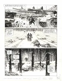 Black and white original page, Cinq branches de coton noir, Steve Cuzor