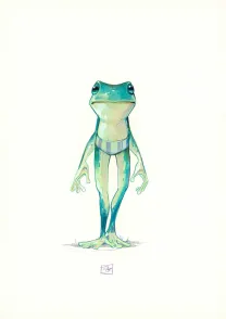 Colored illustration, Maison Croa Croa, Davide Tosello