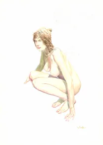 Colored illustration, Le Moine fou,  Vink