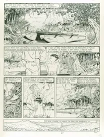 Planche noir et blanc, Adler, René Sterne