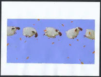 Colored illustration, Le Petit arbre qui voulait devenir un nuage, Frédéric Pillot