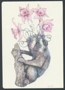 Colored illustration, Marco Mazzoni