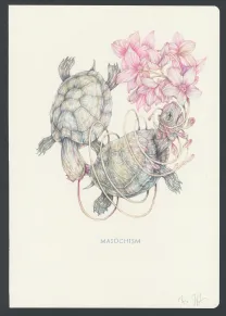 Colored illustration, Marco Mazzoni