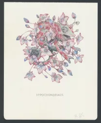 Illustration couleur, Marco Mazzoni