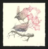 Illustration couleur, Journaux troublés, Marco Mazzoni