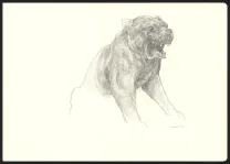 Illustration noir et blanc, Les Carnets Lovecraft, Le Molosse, Armel Gaulme