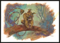 Colored illustration,  Yoann