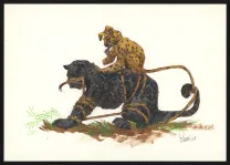 Illustration couleur,  Yoann