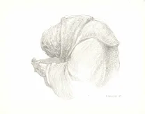 Black and white illustration, Les Carnets Lovecraft, Le Festival , Armel Gaulme