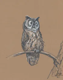Illustration noir et blanc, Peter de Sève
