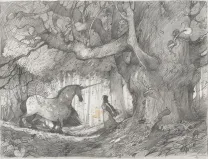 Crayonné, Frédéric Pillot