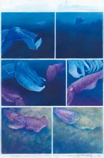 Planche couleur, Octopolis, Gaétan Nocq