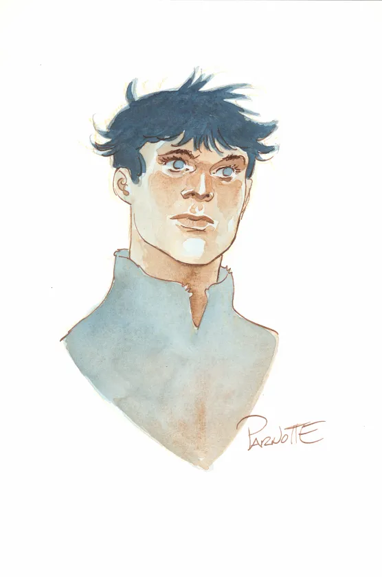 Illustration couleur, Cauchon... Ou l'homme qui tua Jeanne d'Arc, Joël Parnotte
