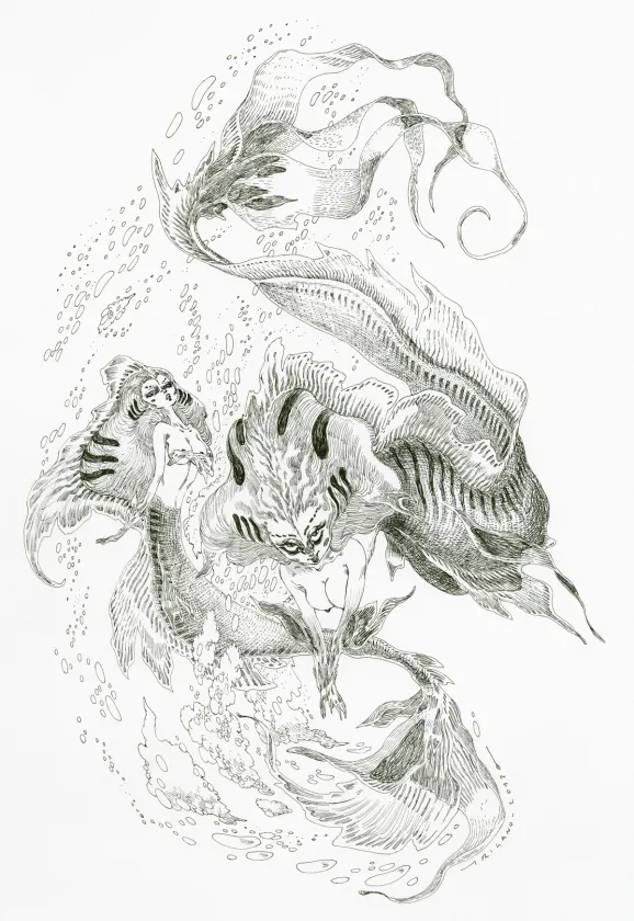 Black and white illustration, Giovanni Rigano