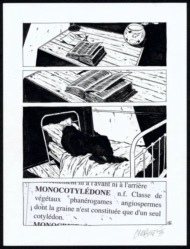 Planche noir et blanc, Tout seul, Christophe Chabouté