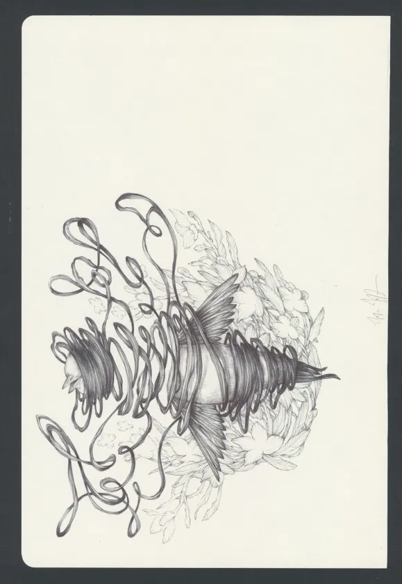 Colored illustration, Marco Mazzoni