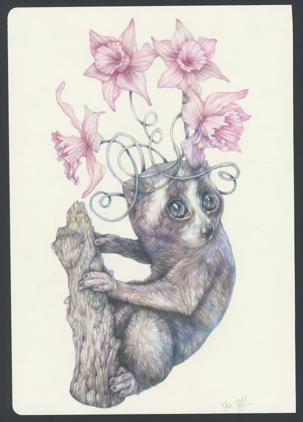 Colored illustration, Marco Mazzoni
