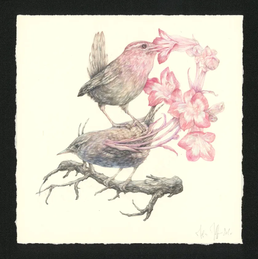 Illustration couleur, Journaux troublés, Marco Mazzoni