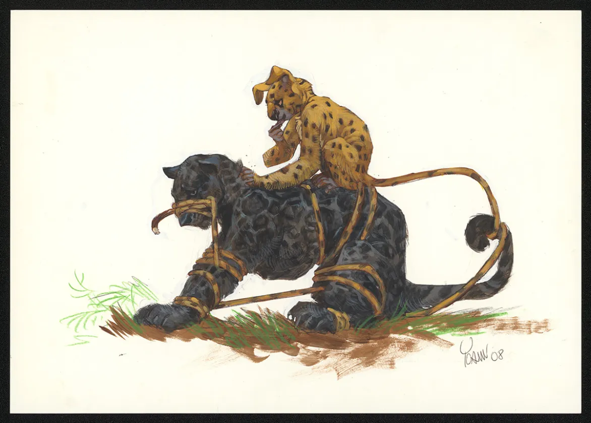 Illustration couleur,  Yoann