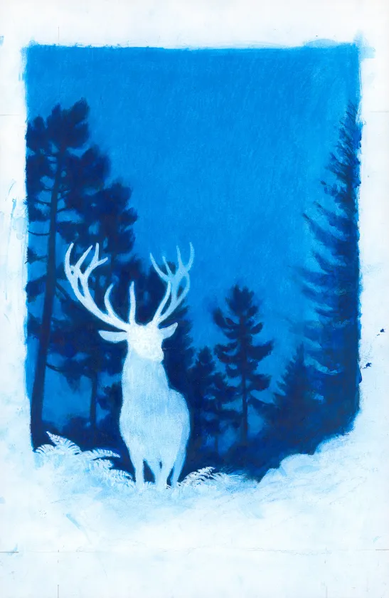 Projet de couverture, Les Grands Cerfs, Gaétan Nocq