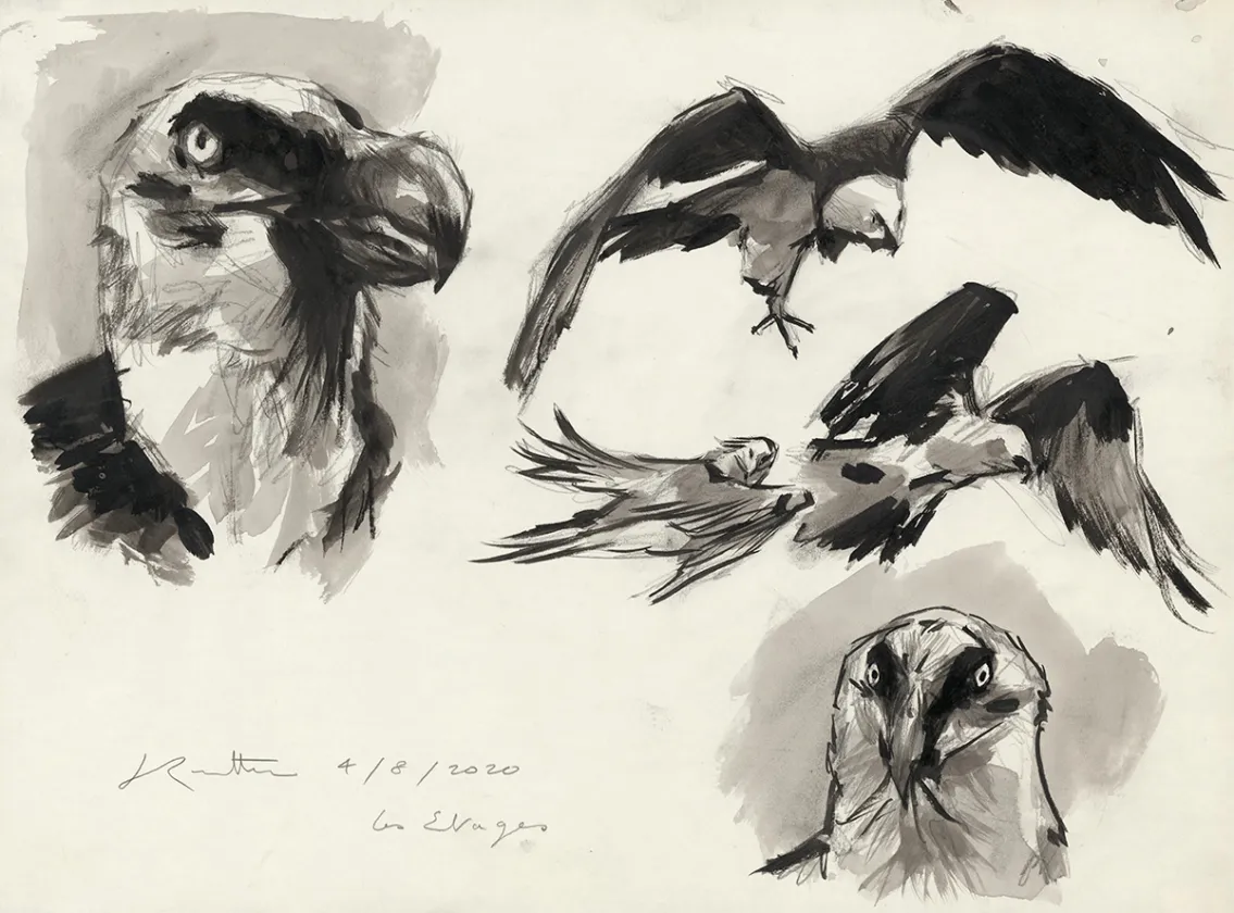 Illustration noir et blanc, Bestiaire des Alpes, Jean-Marc Rochette