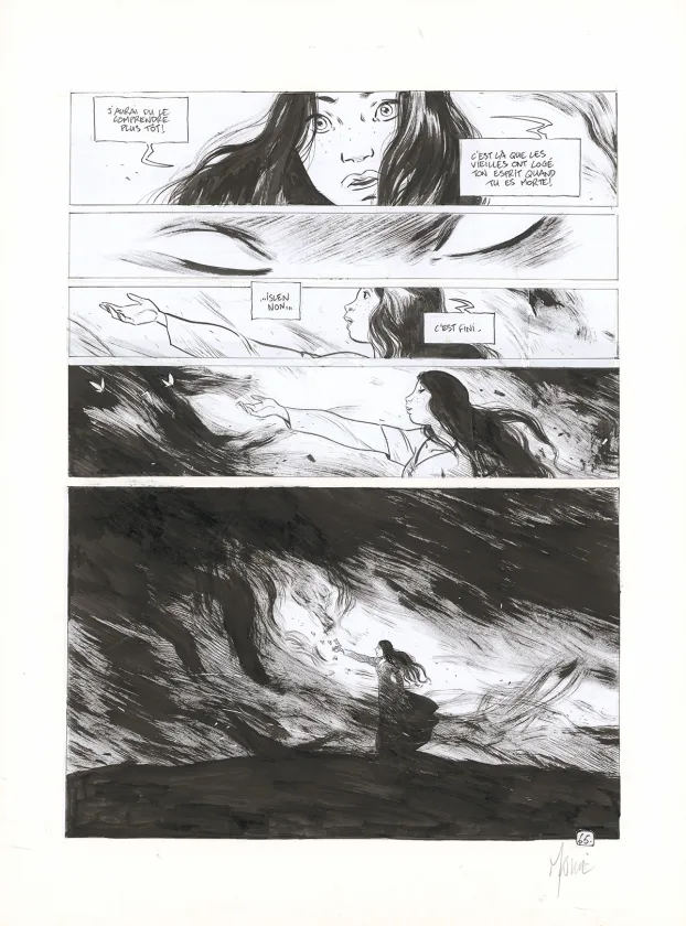 Planche noir et blanc, Ténébreuse, Livre second  (T.2), Vincent Mallié